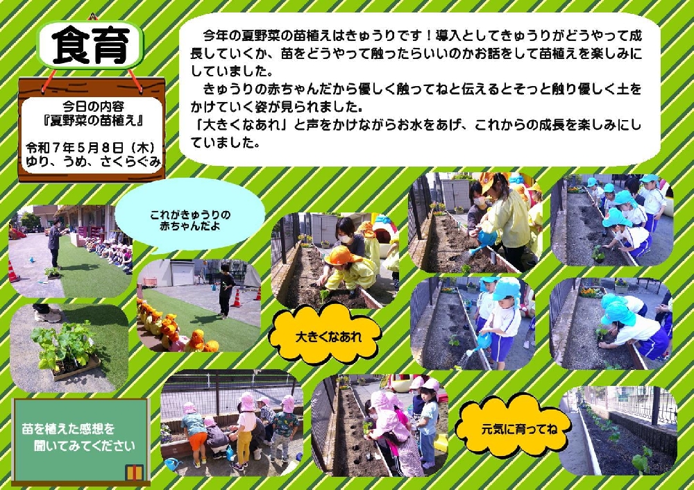 食育活動の様子