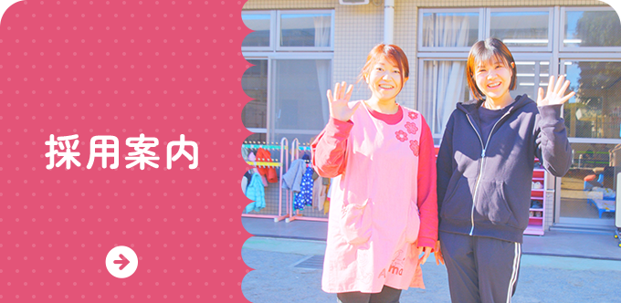 採用案内